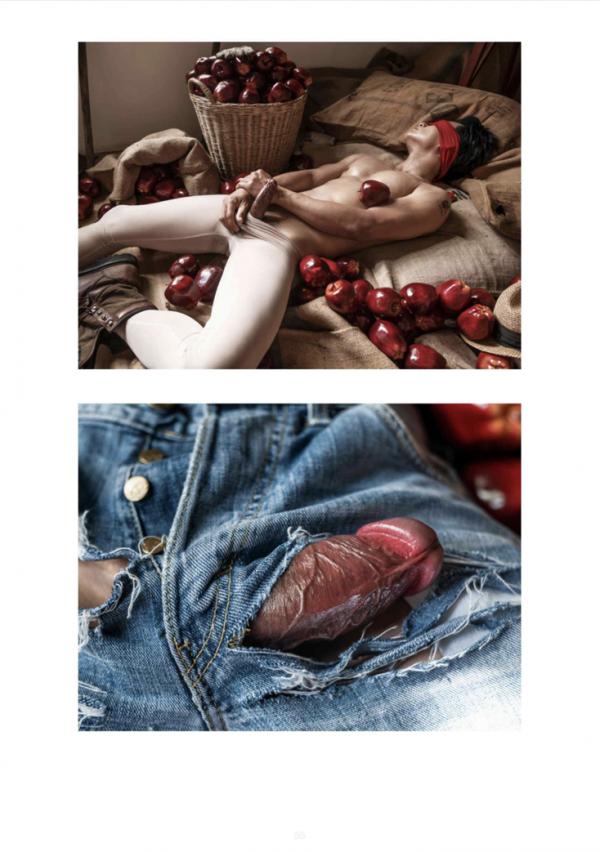 XPERIMENT-16--The-Apple-Picker